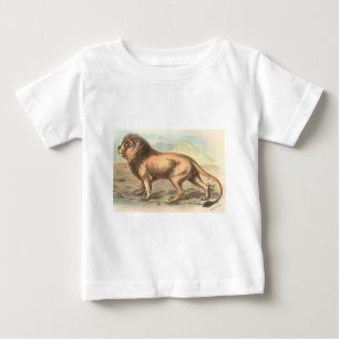 Camiseta De Bebé León, Felis leo