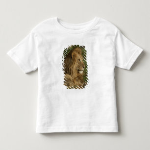 Camiseta De Bebé León, Panthera leo, Lower Mara, Masai Mara GR,