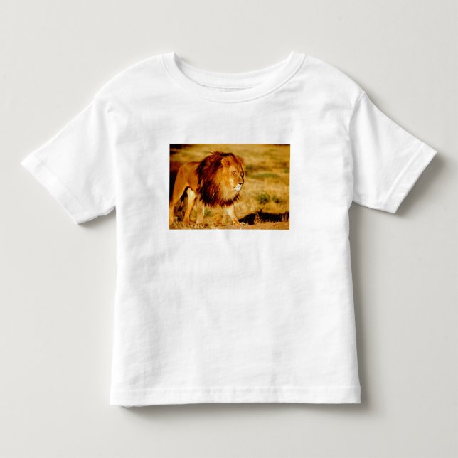 Camiseta De Bebé León Solitario (Anverso)