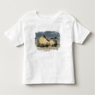Camiseta De Bebé Leones del mar de Australia, Neophoca cinerea),