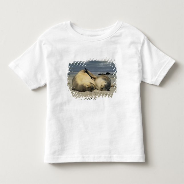 Camiseta De Bebé Leones del mar de Australia, Neophoca cinerea), (Anverso)
