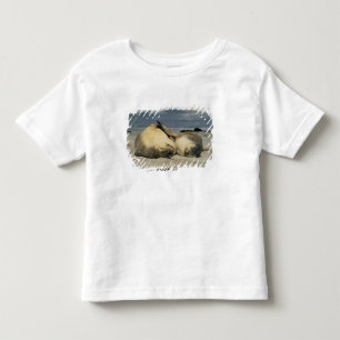 Camiseta De Bebé Leones marinos australianos, Neophoca cinerea),