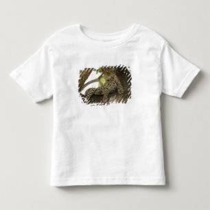 Camiseta De Bebé Leopardo africano, Panthera pardus