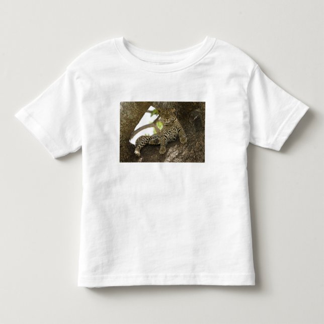 Camiseta De Bebé Leopardo africano, Panthera pardus (Anverso)
