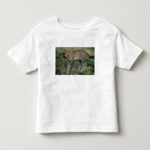 Camiseta De Bebé Leopardo, (Panthera pardus), Kenia, Masai Mara