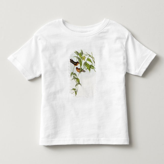 Camiseta De Bebé Leucippus Fallax (Anverso)