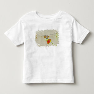 Camiseta De Bebé Libélula Checkered Setwing (Dythemis fugax) en Mex