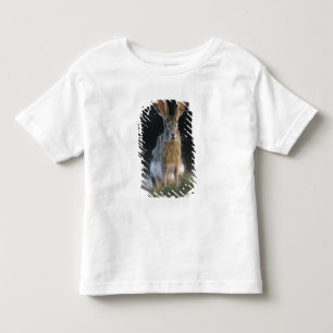 Camiseta De Bebé Liebre de cola negra, Lepus californicus, 2