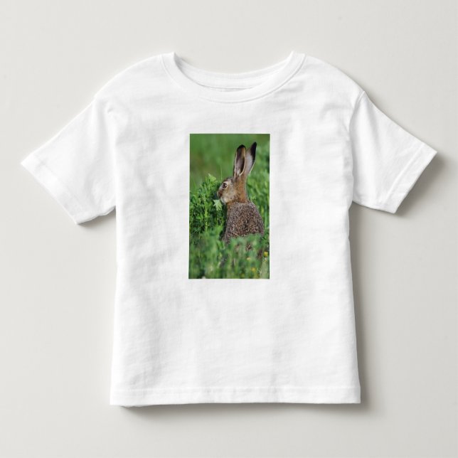 Camiseta De Bebé Liebre europea, Lepus europaeus, joven comiendo, (Anverso)