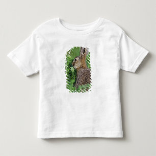 Camiseta De Bebé Liebre parda, Lepus europaeus, joven comiendo,