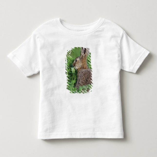 Camiseta De Bebé Liebre parda, Lepus europaeus, joven comiendo, (Anverso)