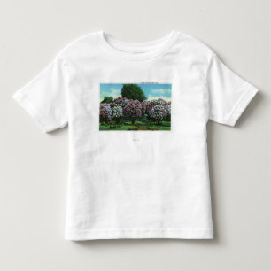 Camiseta De Bebé Lilas de Highland Park en la floración