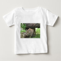 Lince lindo