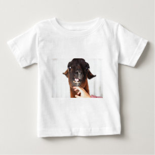 Camiseta De Bebé Llama amor