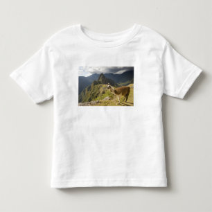 Camiseta De Bebé Llamas y una vista general de Machu Picchu,