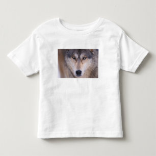 Camiseta De Bebé lobo gris, Canis lupus, primer plano de ojos