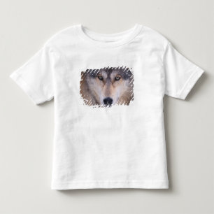 Camiseta De Bebé lobo gris, lupus canis, cierre de ojos