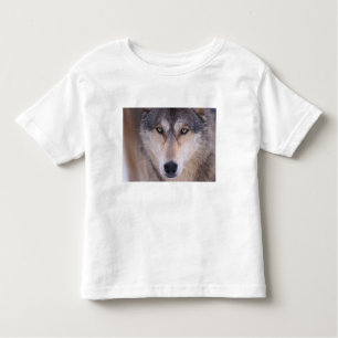 Camiseta De Bebé lobo gris, lupus canis, cierre de ojos