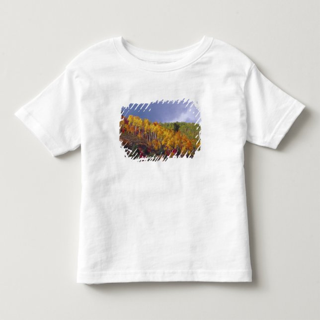 Camiseta De Bebé Logan Canyon en Utah en otoño con tormenta que pas (Anverso)