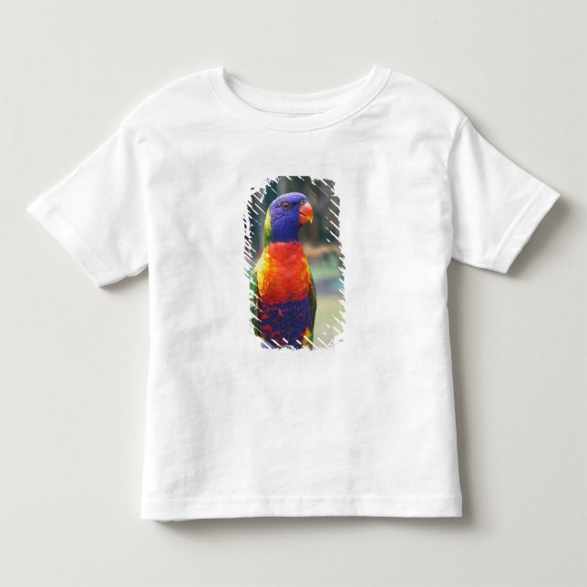 Camiseta De Bebé Loricito Arcoíris (Trichoglossus haematodus 2 (Anverso)