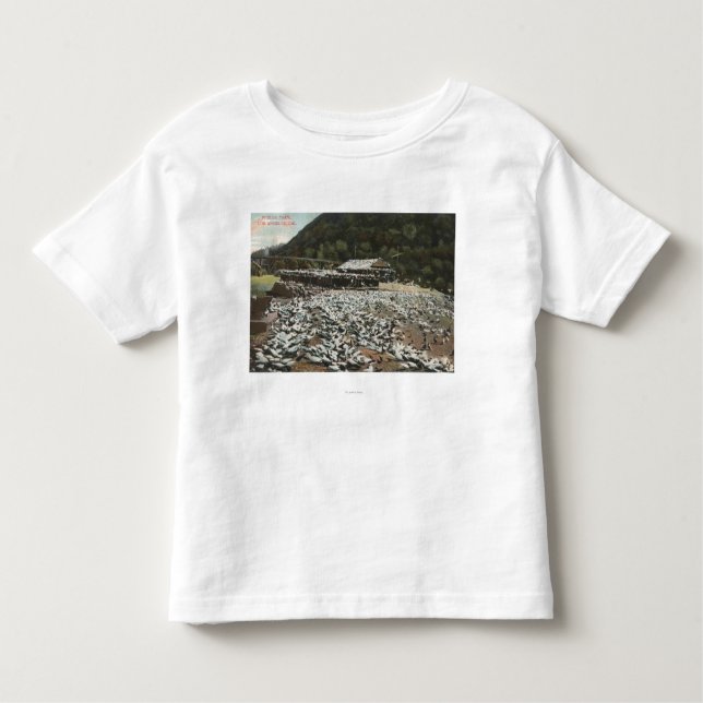 Camiseta De Bebé Los Ángeles, CaliforniaView de una granja de la (Anverso)