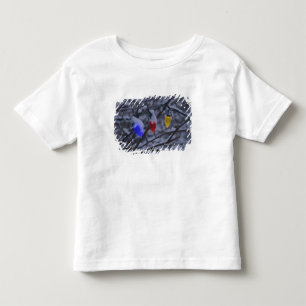Camiseta De Bebé Los E.E.U.U., Nueva Inglaterra, Massachusetts,