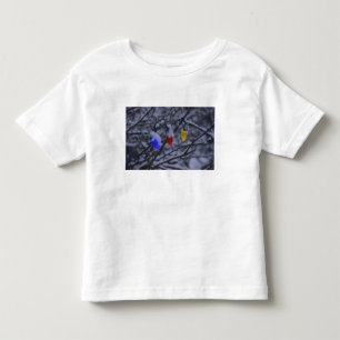 Camiseta De Bebé Los E.E.U.U., Nueva Inglaterra, Massachusetts,