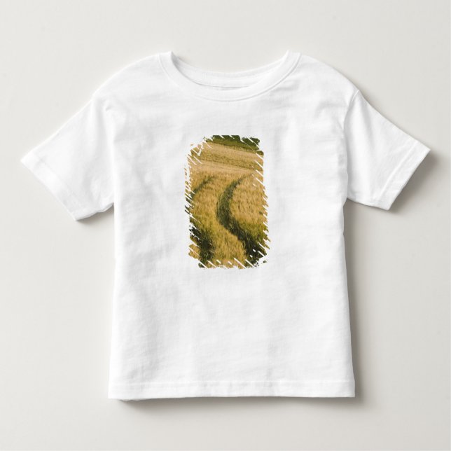 Camiseta De Bebé Los tractores atraviesan trigo, Toscana, Italia (Anverso)