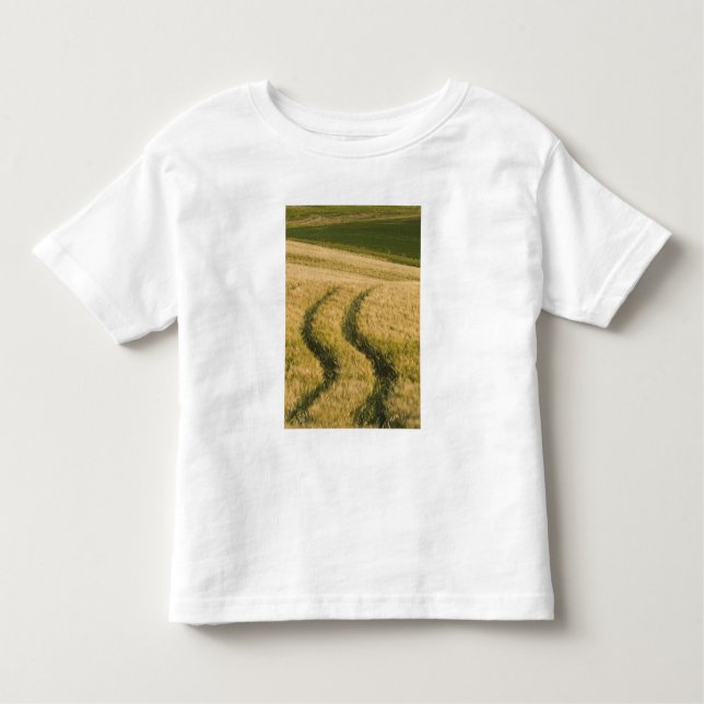 Camiseta De Bebé Los tractores atraviesan trigo, Toscana, Italia (Anverso)