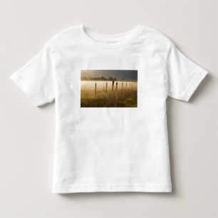 Camiseta De Bebé Luces del amanecer niebla a lo largo de la cerca c