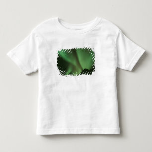Camiseta De Bebé Luces del norte, Aurora boreal en las estribacione