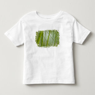 Camiseta De Bebé Luz de la mañana filtrándose a través del bambú