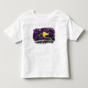 Camiseta De Bebé Macho, jilguero americano con plumaje de verano,