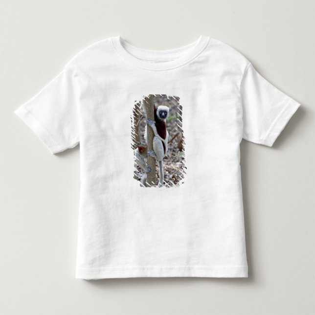 Camiseta De Bebé Madagascar, Reserva Ankarafantsika; Ampijoroa; (Anverso)