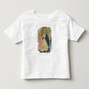 Camiseta De Bebé Madonna y el niño enthroned con los santos,