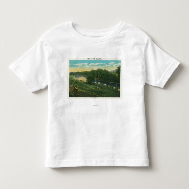 Camiseta De Bebé MaineView de las vacas hacia casa limitadas (Anverso)