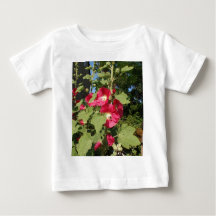 Malvarisas rosas