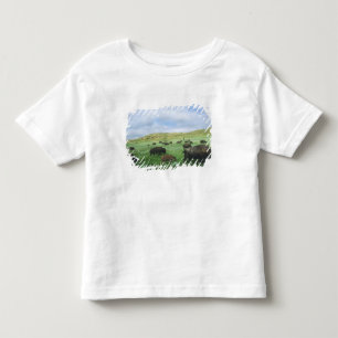 Camiseta De Bebé Manada de bisontes pastan hierba de la pradera en 