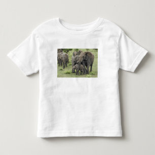 Camiseta De Bebé Manada de elefantes africanos, Loxodonta africana,