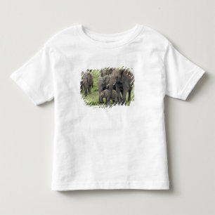 Camiseta De Bebé manada de elefantes africanos, Loxodonta africana,