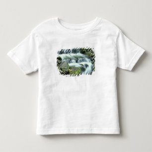 Camiseta De Bebé Manantial de helechos, Parque Nacional Yosemite