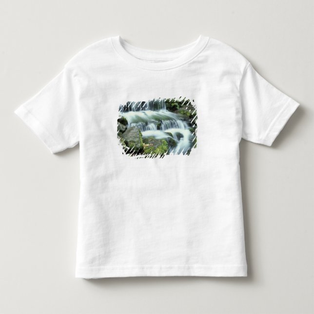 Camiseta De Bebé Manantial de helechos, Parque Nacional Yosemite (Anverso)
