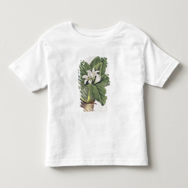 Camiseta De Bebé Mandragora del Atropa (Anverso)