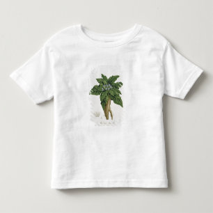 Camiseta De Bebé Mandragora Officinarum de 'Phytographie Medicale