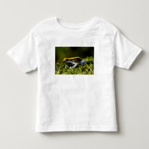 Camiseta De Bebé Mantella de oreja negra, Mantella expectata,