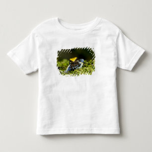 Camiseta De Bebé Mantella de oreja negra, Mantella expectata, 2