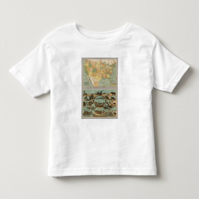 Camiseta De Bebé Mapa de los Estados Unidos de América 2 (Anverso)