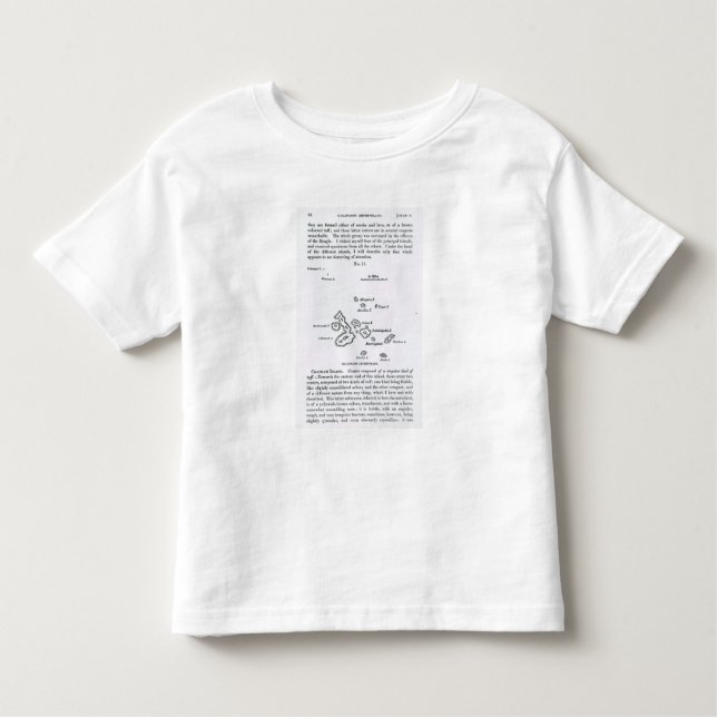 Camiseta De Bebé Mapa del archipiélago de las Islas Galápagos, 1844 (Anverso)