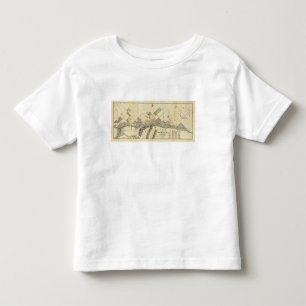 Camiseta De Bebé Mapa del esquema de Duluth y de suburbios