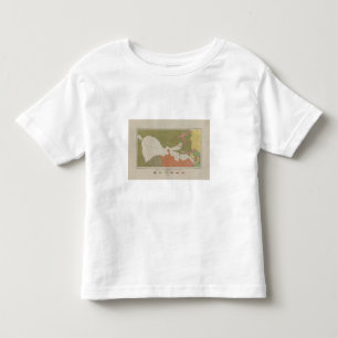 Camiseta De Bebé Mapa geológico del distrito claro del lago